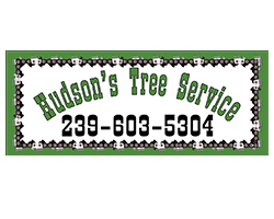 HUDSONS TREE SERVICE