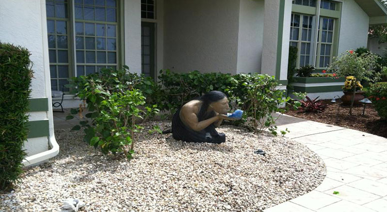 TREE SERVICE CAPE CORAL