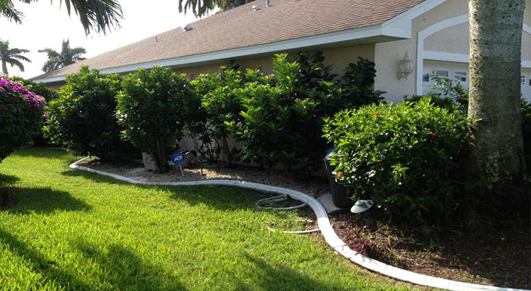 TREE SERVICE CAPE CORAL
