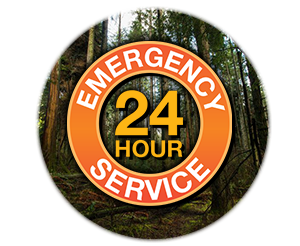 HUDSONS TREE SERVICE